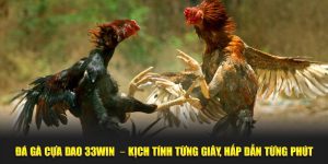 Đá Gà Cựa Dao 33WIN – Kịch Tính Từng Giây, Hấp Dẫn Từng Phút