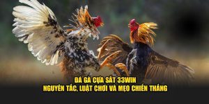 Đá Gà Cựa Sắt 33Win – Nguyên Tắc, Luật Và Mẹo Chiến Thắng